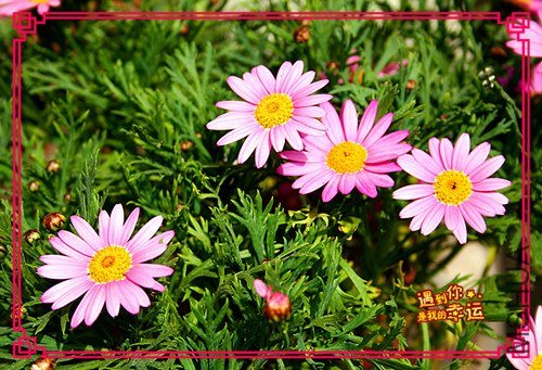 ��Ƭ 011_����.jpg