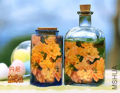 ��Ƭ 076_����.jpg