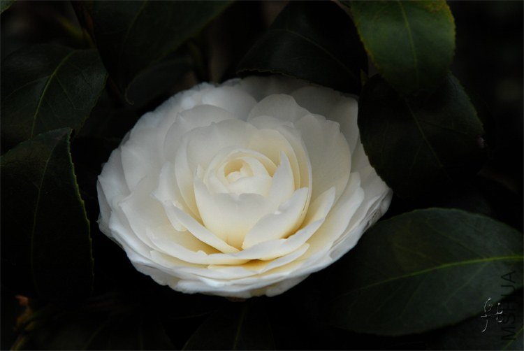 �¹�2.jpg
