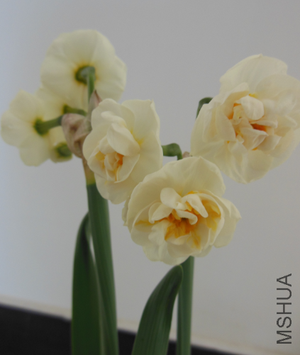 QQ��ͼ20130308074730.png