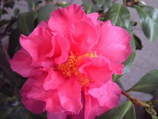 ��Ƭ098.jpg