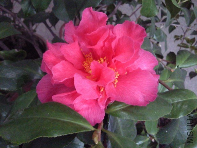 ��Ƭ099.jpg