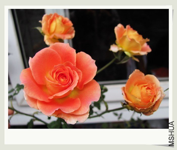 ͭ���ֶ�1 of ���ɻ���.jpg