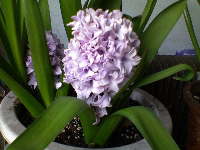 DSC00133.JPG