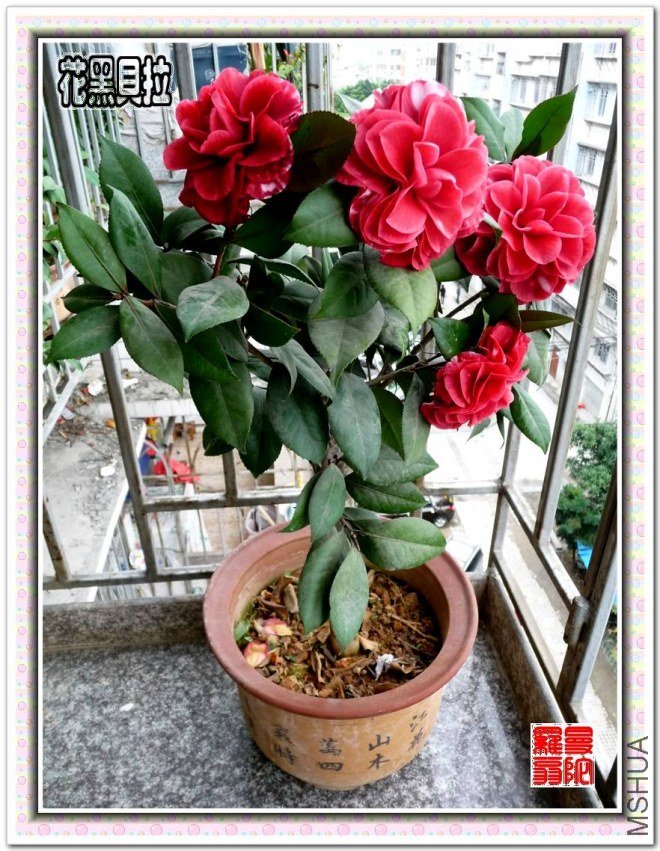 ���ڱ���07.jpg