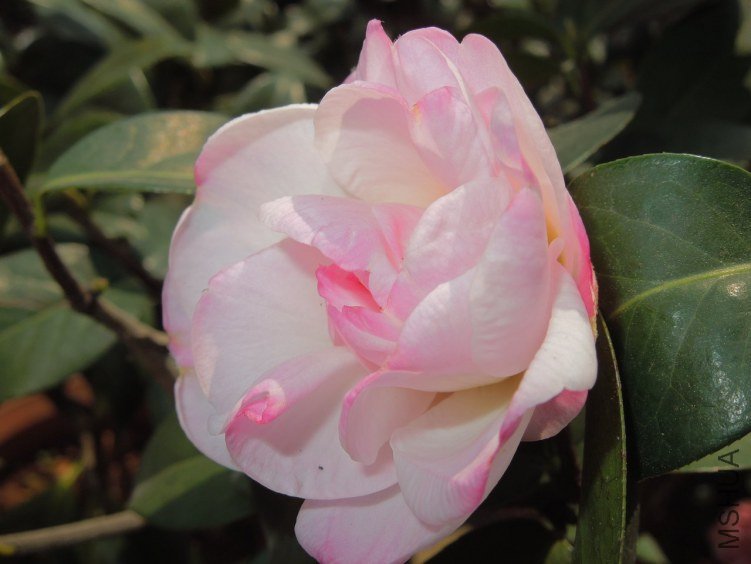 DSCN3109.JPG