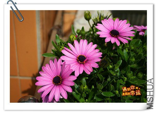 ��Ƭ 013_����.jpg