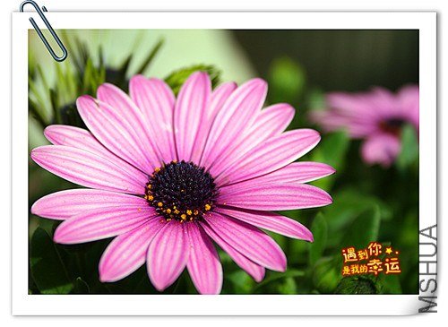 ��Ƭ 016_����.jpg