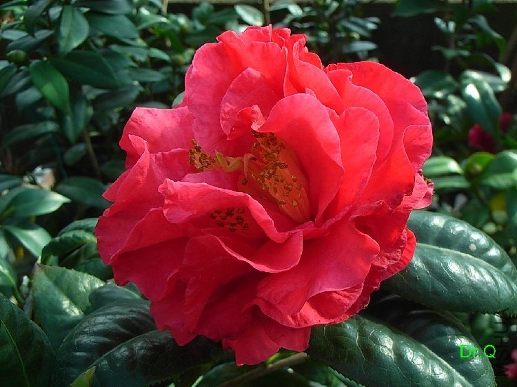 8.JPG