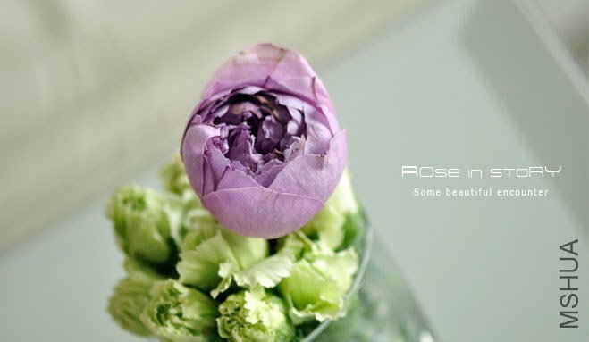 rOSE in story2013133.jpg