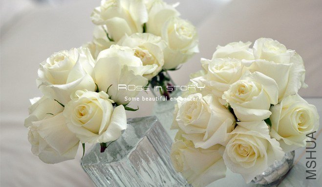 rOSE in story20139104.jpg