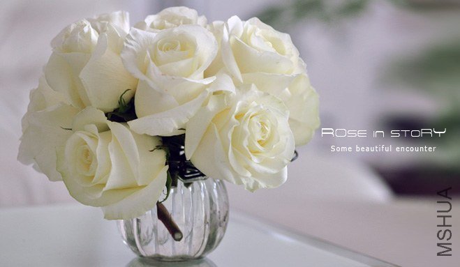 rOSE in story20139100.jpg
