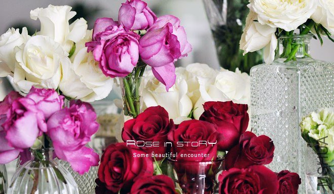 rOSE in story2013128.jpg