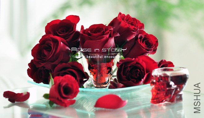 rOSE in story20139105.jpg