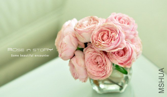 rOSE in story20139101.jpg