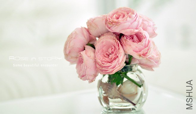 rOSE in story20139102.jpg