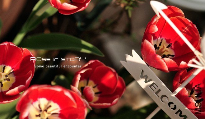 rOSE in story201376.jpg