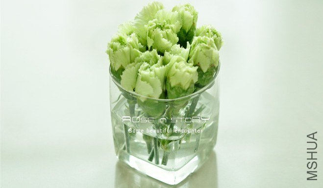 rOSE in story2013127.jpg