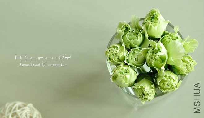 rOSE in story2013125.jpg