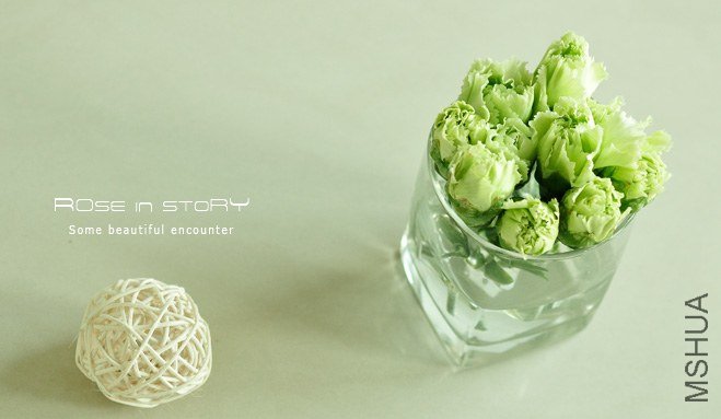 rOSE in story2013126.jpg