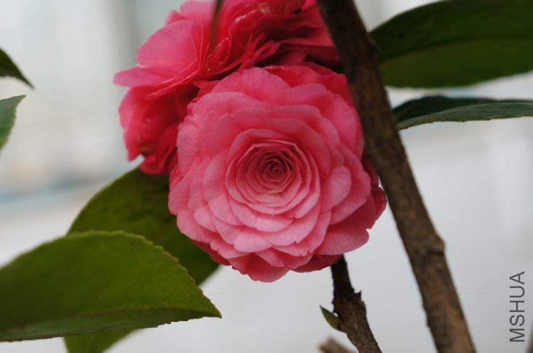 DSC03473.jpg