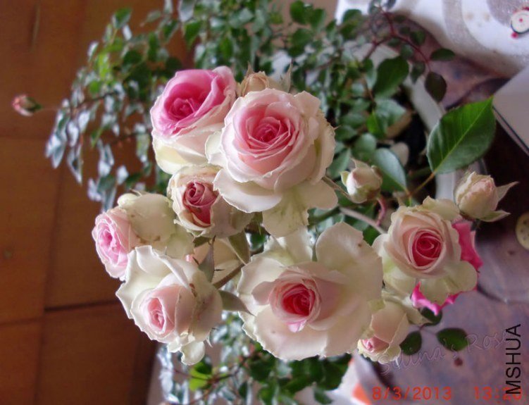 ΢������õ���7 of ���ƴ���.jpg