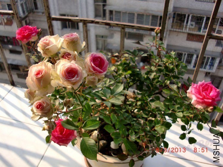 ΢������õ���3 of ���ƴ���.jpg