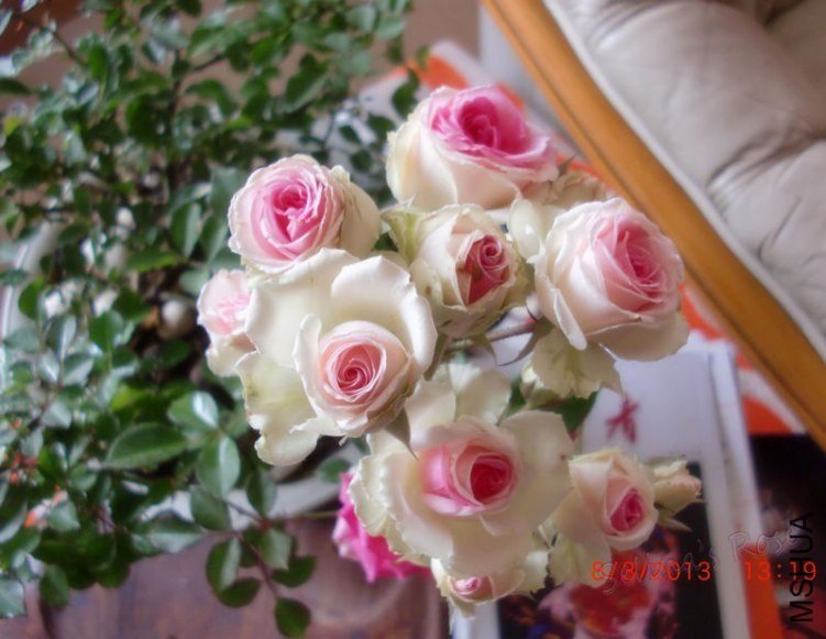 ΢������õ���6 of ���ƴ���.jpg