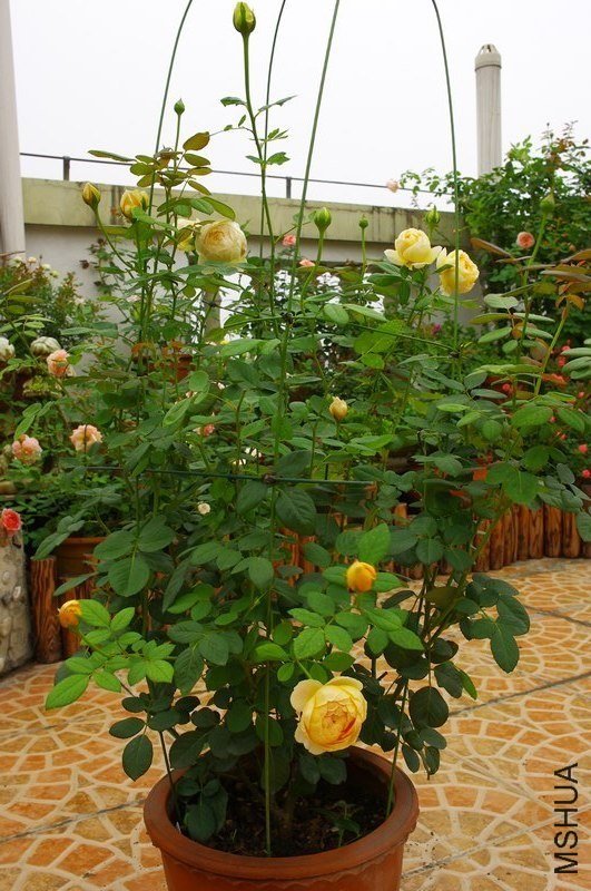 �������õ�1 of ��������  .jpg