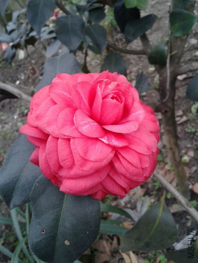 2013-02-07 14.44.05.jpg