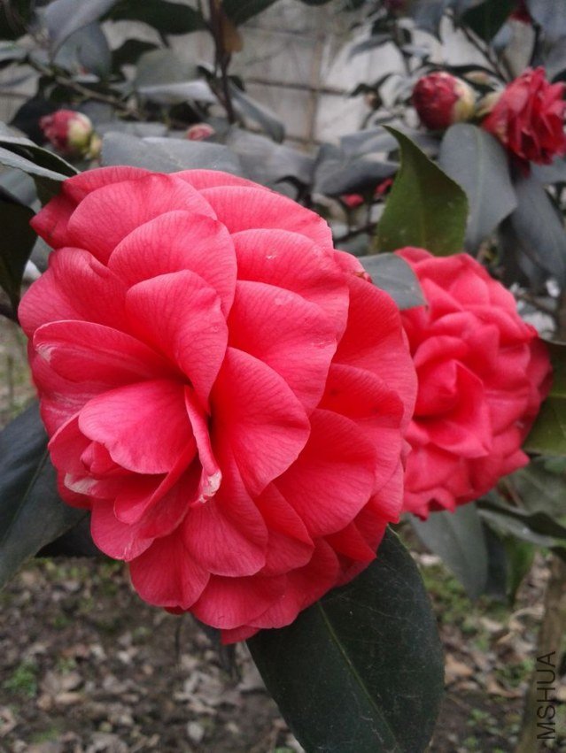 2013-02-14 11.16.30.jpg