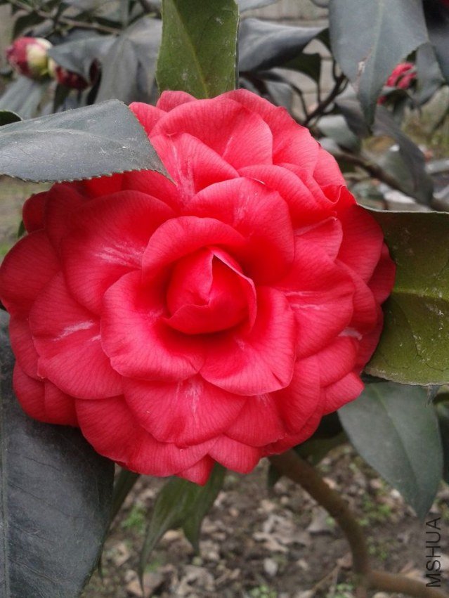 2013-02-14 11.16.39.jpg