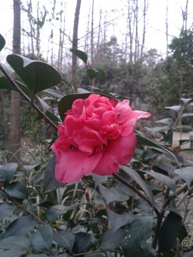 2013-02-18 10.03.23.jpg