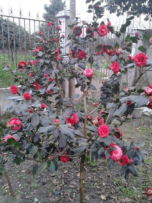 2013-02-20 10.24.28.jpg