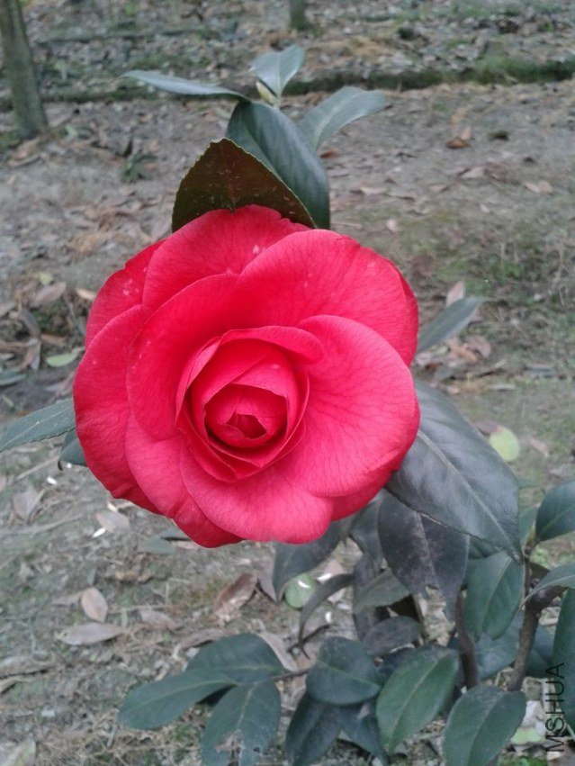 2013-03-02 11.48.41.jpg