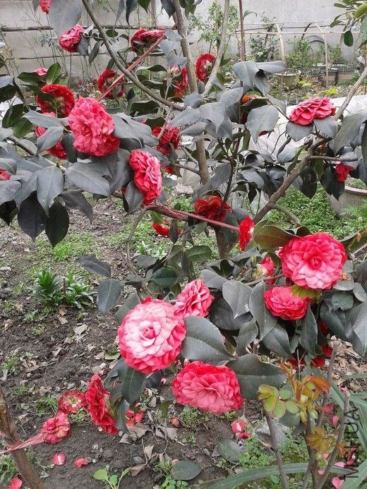 2013-03-02 12.04.31.jpg