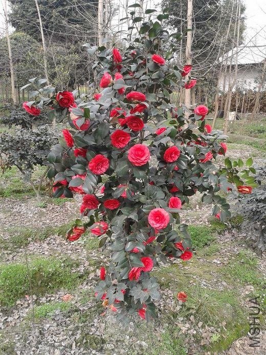 2013-03-03 15.50.05.jpg