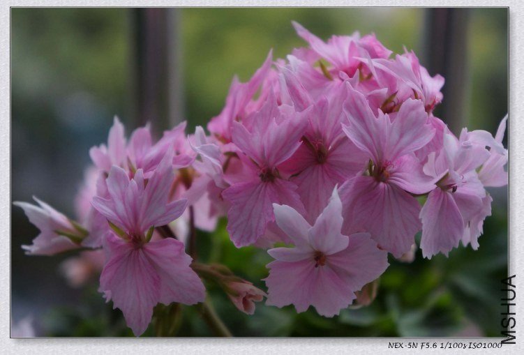 nEO_IMG_DSC00628.jpg