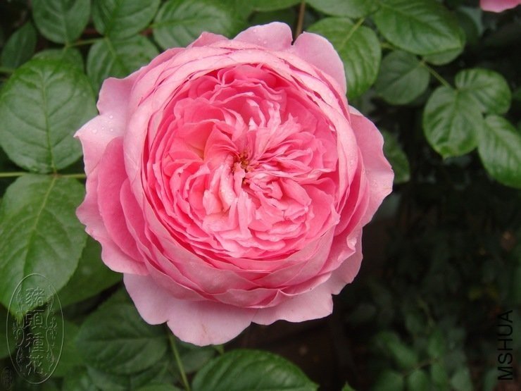 ������3 of ���ҵ�.jpg