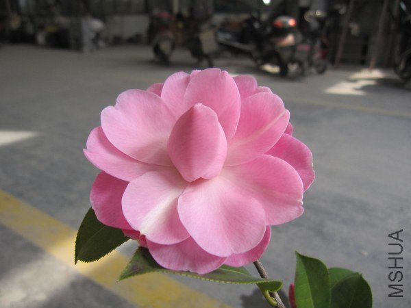 IMG_9942.jpg