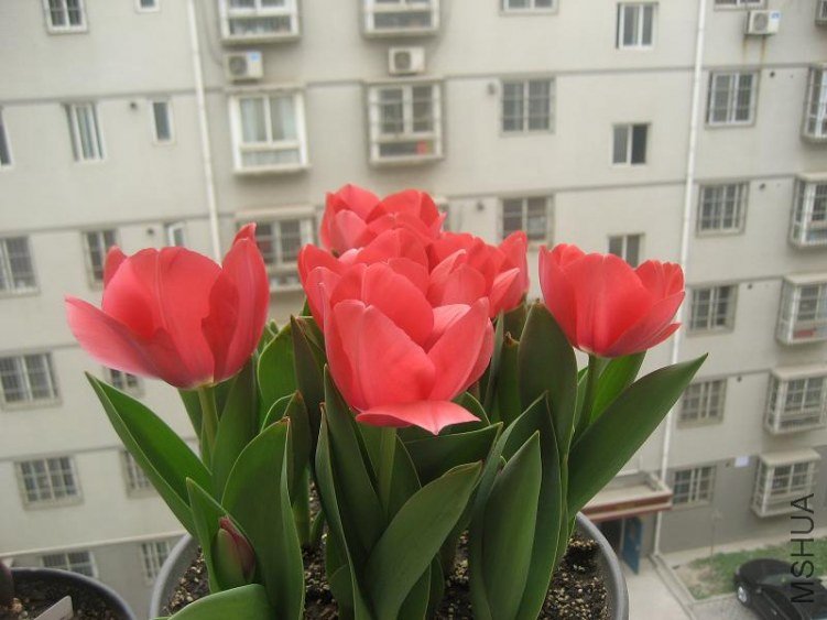 IMG_4905.JPG