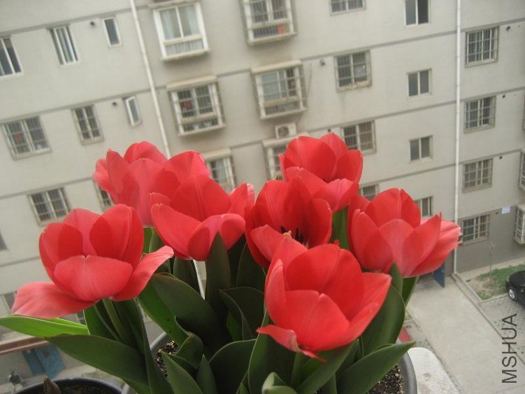 IMG_4906.JPG