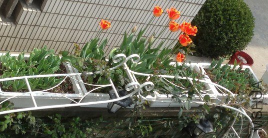 QQ��ͼ20130309125735.jpg