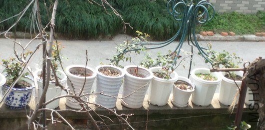QQ��ͼ20130309125741.jpg
