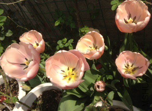 QQ��ͼ20130309123746.jpg