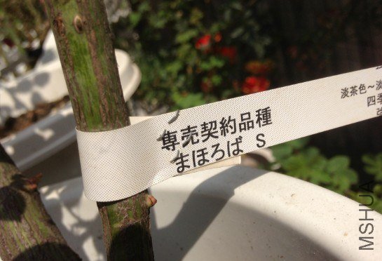 QQ��ͼ20130309123805.jpg