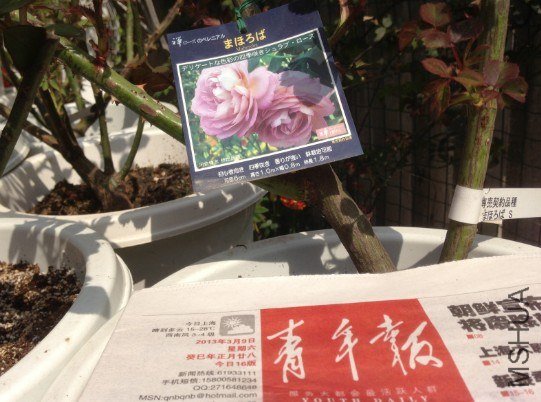 QQ��ͼ20130309123812.jpg