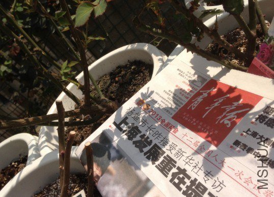 QQ��ͼ20130309123845.jpg