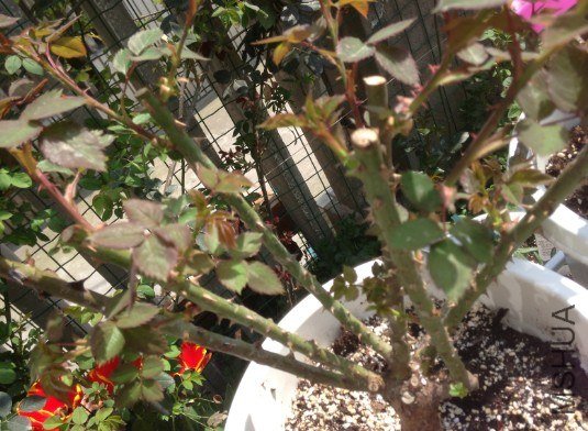 QQ��ͼ20130309123924.jpg