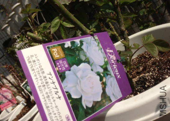 QQ��ͼ20130309123929.jpg